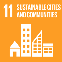 SDG 11