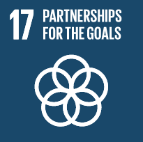 SDG 17