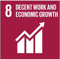 SDG 8